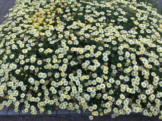 5fe2703bdf79466ab9ec3d77cc8dfbfd