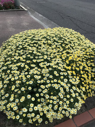 6728af590ac149009e415898c07bf19e