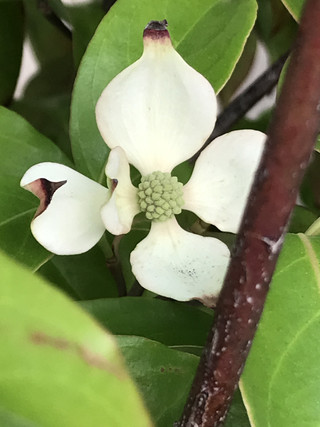 Cb34c06c54b14673a3f459b92f9d5e02