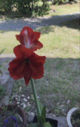 14eba61b3fca4e938b83a94ce232e7b8