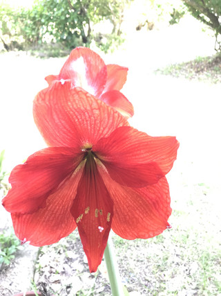 242b1f7b17d746dd8d8d8411ea18d42a