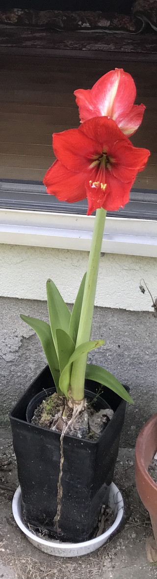 Cad2c1979ae54901940e9aaafe09f826