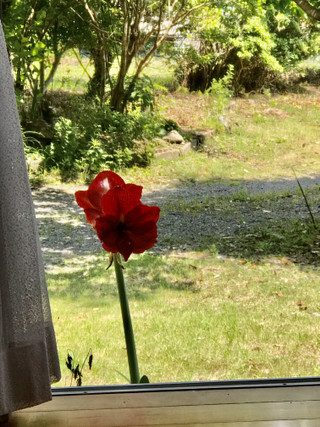 E45877b96fe944c981897153e35a1ee0