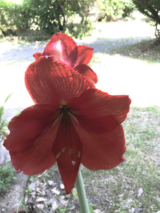 Ee314b91a72c41078138b7a1bf1b3e3f