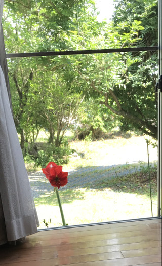 9d9cb6c3528f45d8b88d83eb83af6a90