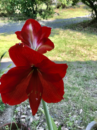 Cfe15f2e0b614817977990cd33db5a5f