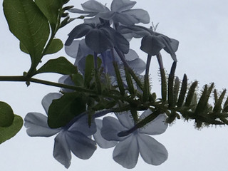 3146d14db3fd4bd39b64ce48b2664748