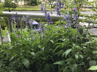 3e7c30fbe6f347a7b270c1d2a46173ae