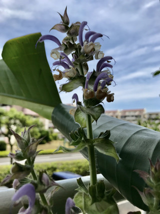 525f13eb6b834e7b93495cdbdc2f2ebe