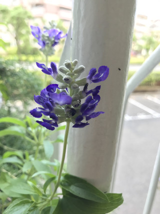 8959fbb86e4b4d228865f9b1a21d0480