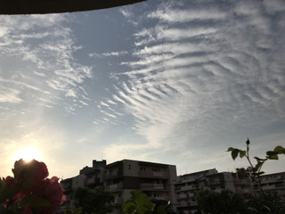 40b03cde703c4118b06e12a56f0ca98c