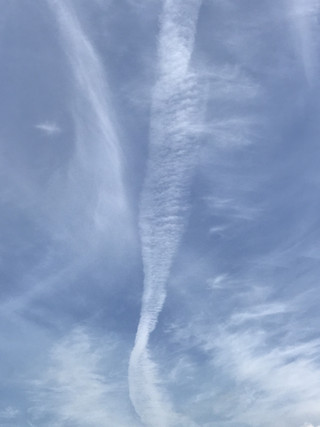 4ba3bfcf22cf40c1bc7b1d955d1172d7