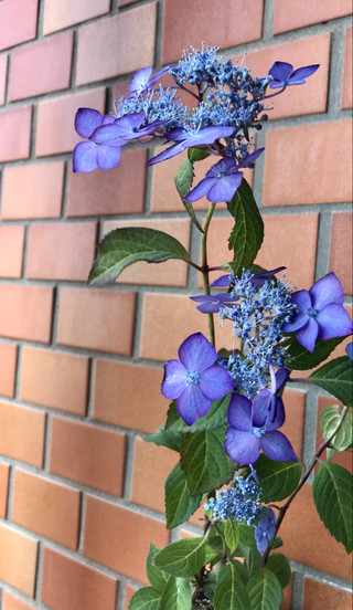 38fa95bff07a4076b4d47865edbba9e4