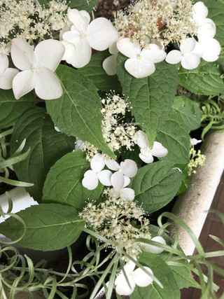 6591857679b34ad7b691924395d6aaa1