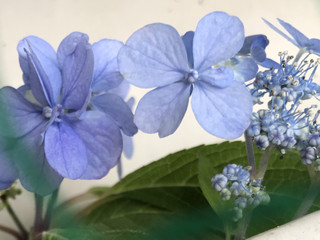 87b4f8bd341146beaace7956d78bf91c