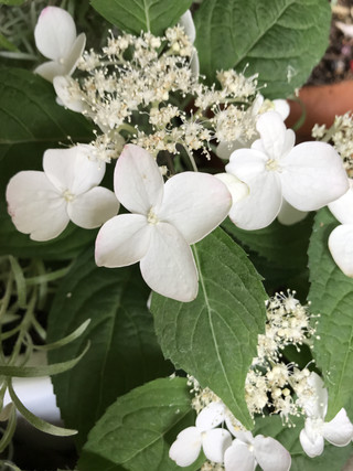 A879ebc179c14200a03dfde7a7356757