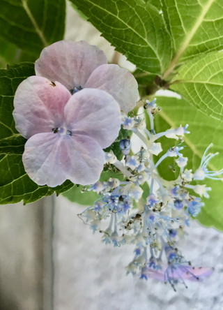 E561fcf0792b4bb8baec86bf8f10bb0c