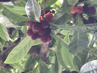 087c87c78f0a46009a28df33331ca3e7