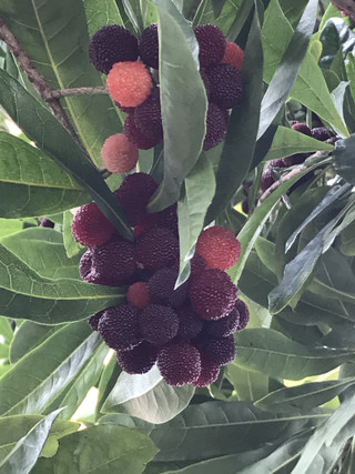 5fe576fc81ce4facbd39319f83ee284c