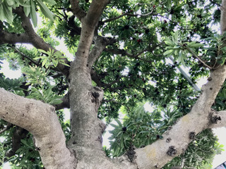 80275524f59640f1a3f546c106e2a96c