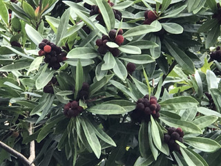 Dbcdaca7eeba423b866c432e9b739680