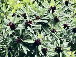 Ecfff7548be14a1099cfdb54b38276e1