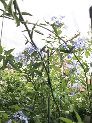 784b21756c11426c8660f5c443c0fd7a