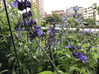 839434bfe1074a9892d6d19278ce6e4f