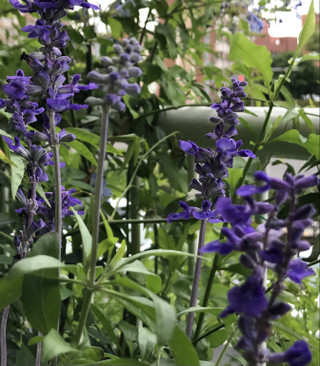 Db7c7fc46f5640e1ac53497ed2fefccc