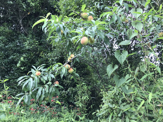 055a87e57fdf4ec5bfcf0117a93cb662