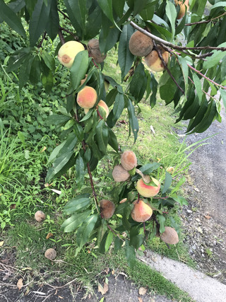 539227752fc14097860f1048e8665333