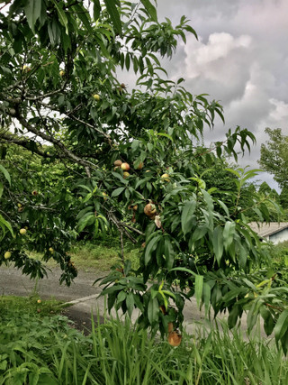 6eb7e8bfd170431cb823a37b919fd49e