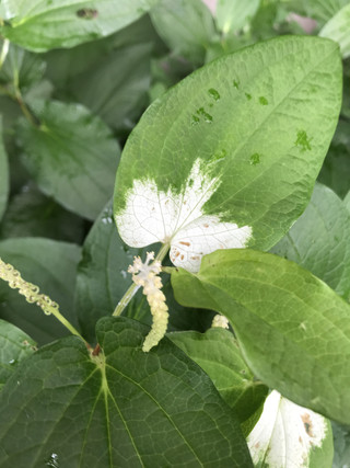 C99d7912282d42e28ea5cb6c3a4e40b6