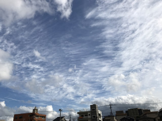 867bd372f4bb425fb5763b7463d29f08