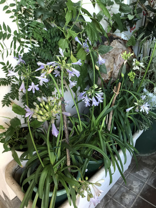 8274526b94804f89a7802bdca13868c5