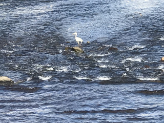 56813e7a12b04139916d48466a45a3bf