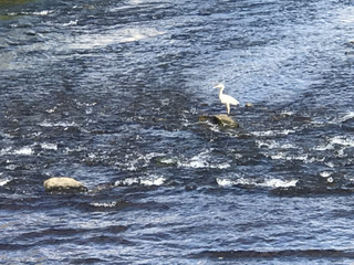 6a9044ed65f24b55b1189e72582285cf