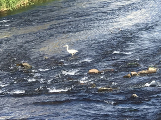 A2a2958efa2c47ca86fce4f45891fc2d