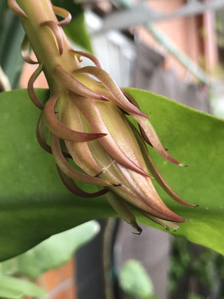 0f5d4631944045a6abbbcf711660e5b7