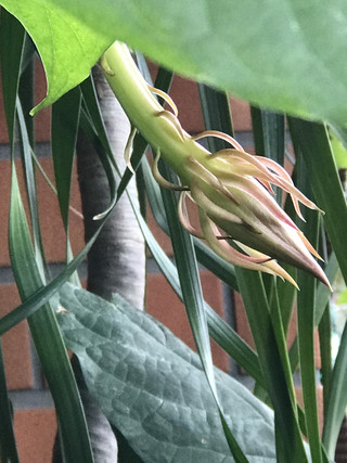 35dae718853d4dffac0d82f20053d26a