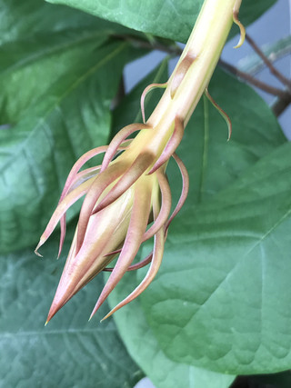 Aa5bc660f1984d5d98be4b737c2d397a