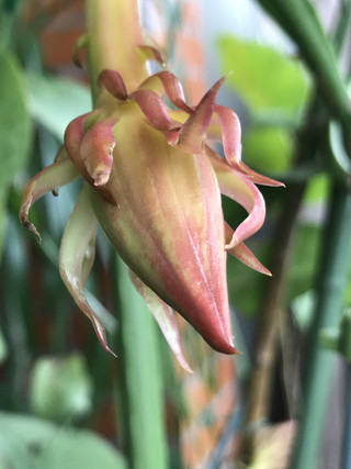 Aa90ef3cd6c14278882ab6b5f25d137a