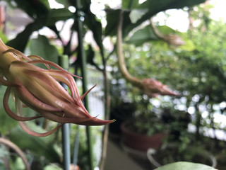 0f9843f0d0da4a309fadca54d9777d68