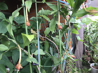 90b98b3623dc4fba8a147fe118c1385f