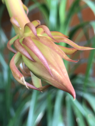 Da0ebbed2d7543a2875fd1e8bf9281a2