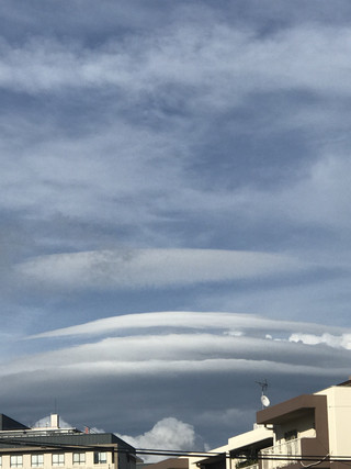 5017a5b6d8204c82a566fb3df6763c00