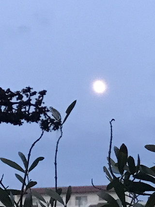 D4b840da44124ae4916d8596695db904