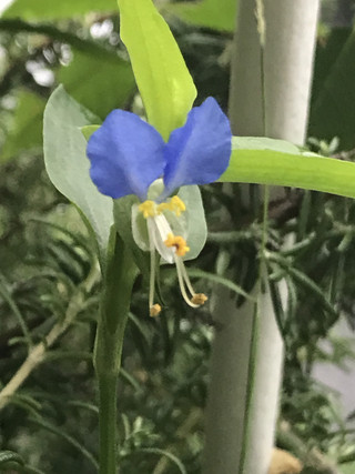 F0fdb1659b4a4dd9a6c5a26a1b3e5961