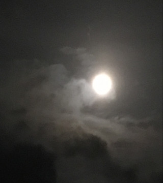 66d7f60e795a470c9a6e13e391f8ec4b