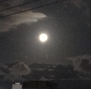 0512a59db27b45aeb9e45ec0fd8c8110